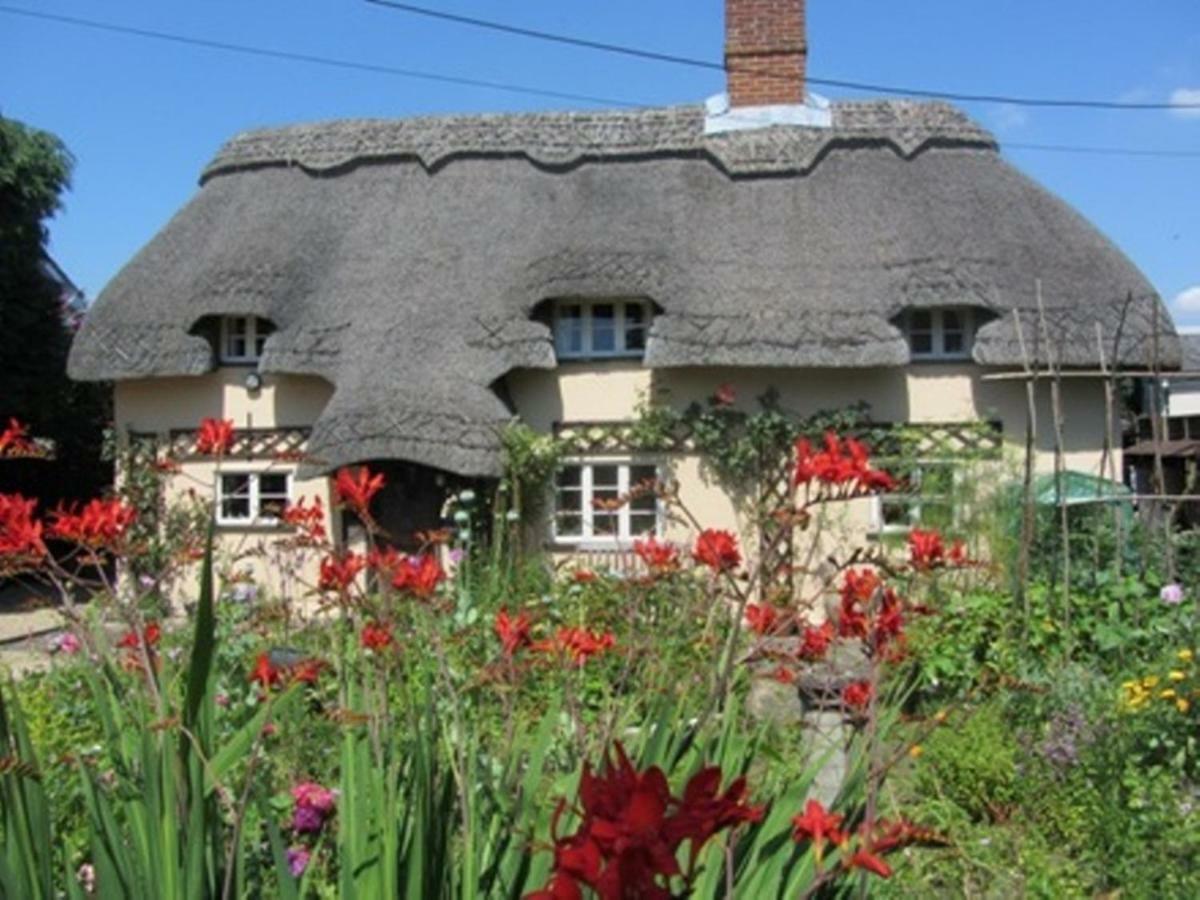 Vila The Stable Eastleigh Exteriér fotografie